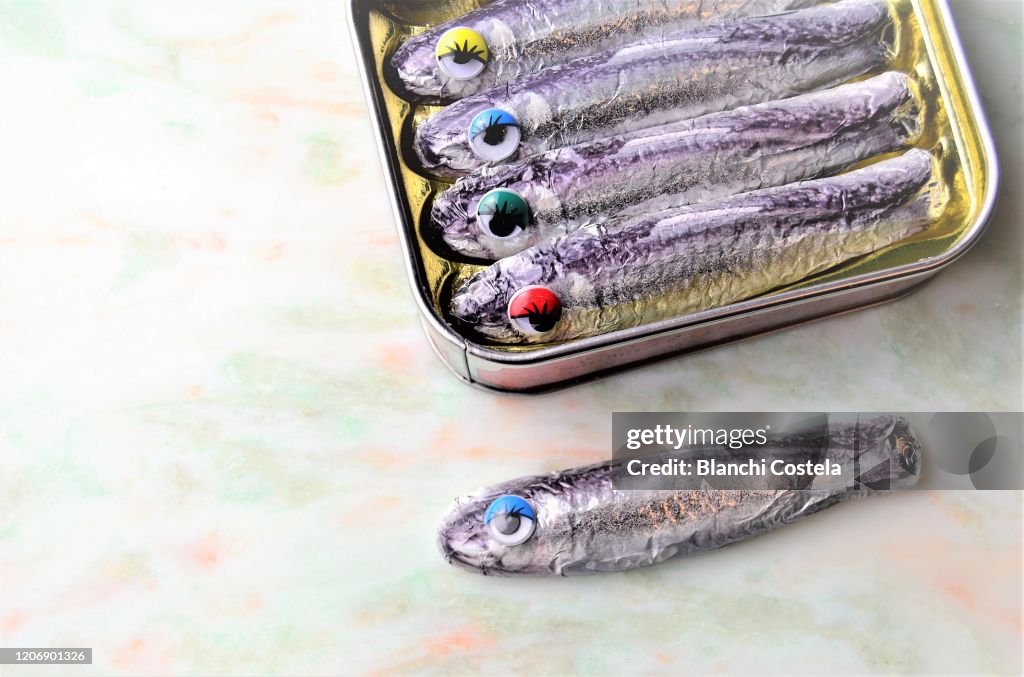 Chocolate can of sardines with funny eyes
