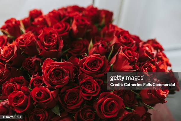 bunch of red roses - dozen roses stock pictures, royalty-free photos & images