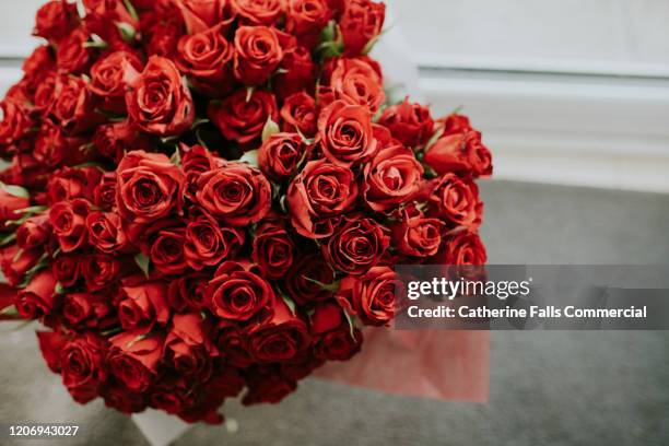 bunch of red roses - dozen roses stock pictures, royalty-free photos & images