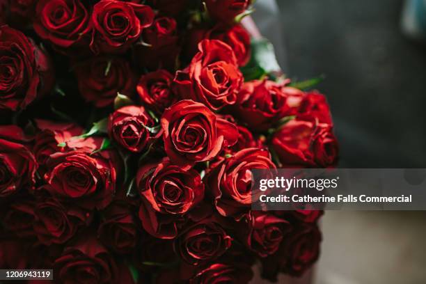 bunch of red roses - dozen roses stock pictures, royalty-free photos & images