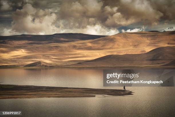 the person look at mountains in pangong lake - leh stock pictures, royalty-free photos & images