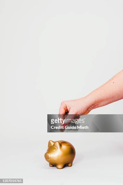 putting a coin in a golden piggy bank. - euro in hand stock pictures, royalty-free photos & images