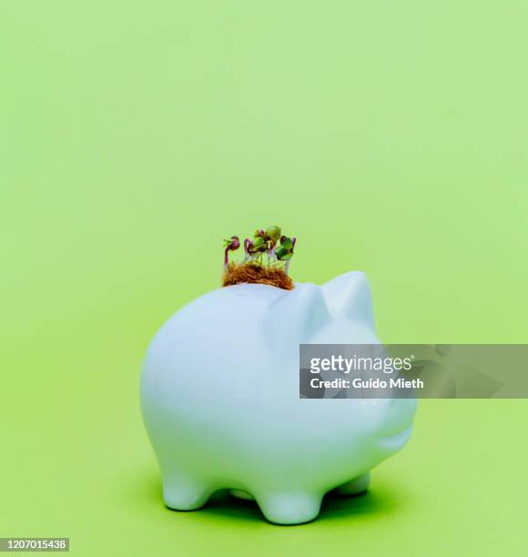piggybank with green seedling. - biotechnology investment stock pictures, royalty-free photos & images