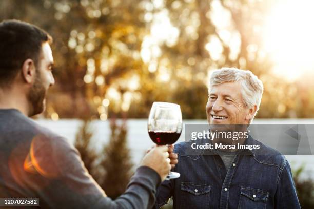 padre e hijo sonrientes tosando copas de vino - drinking wine fotografías e imágenes de stock