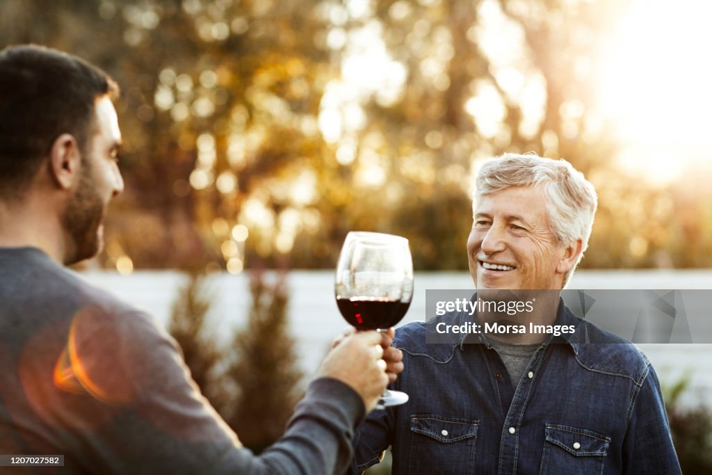 Smiling father and son toasting wineglasses
