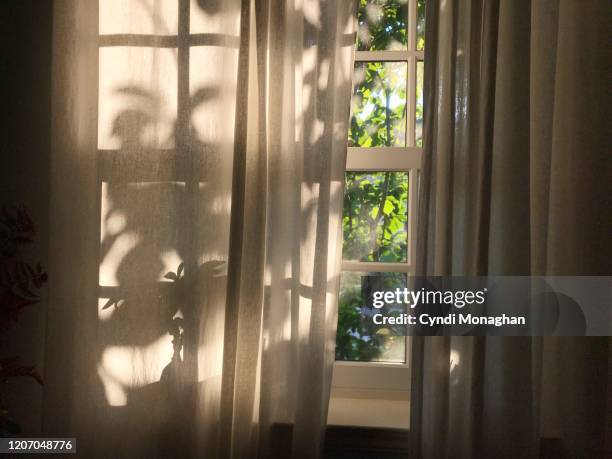 shadows and light on a window curtain - curtain stock-fotos und bilder