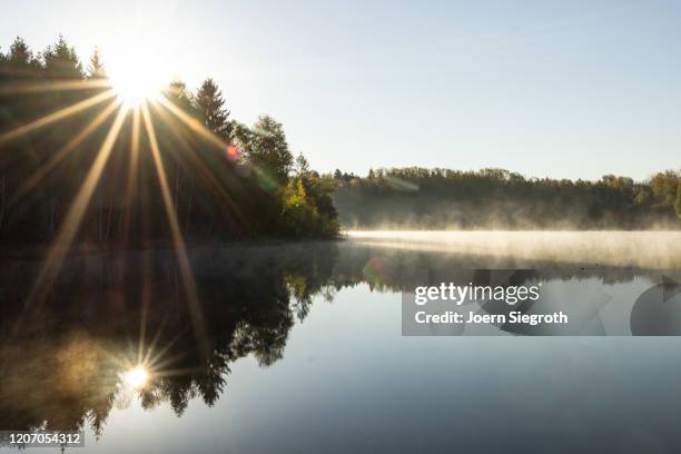 badesee am morgen - bathing jetty stock pictures, royalty-free photos & images