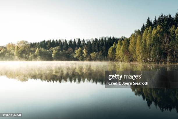 badesee am morgen - german forest stock-fotos und bilder