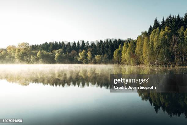 badesee am morgen - ribera característica de la tierra fotografías e imágenes de stock