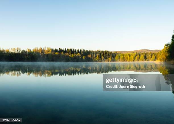 badesee am morgen - bathing jetty stock pictures, royalty-free photos & images