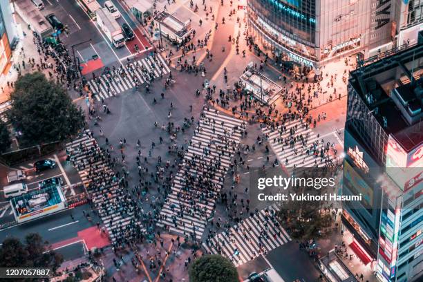 shibuya nightscape from above - shibuya station foto e immagini stock