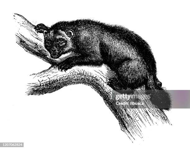 149 Wolverine Drawings Photos and Premium High Res Pictures - Getty Images 149 Wolverine Drawings Photos and Premium High Res Pictures - Getty Images