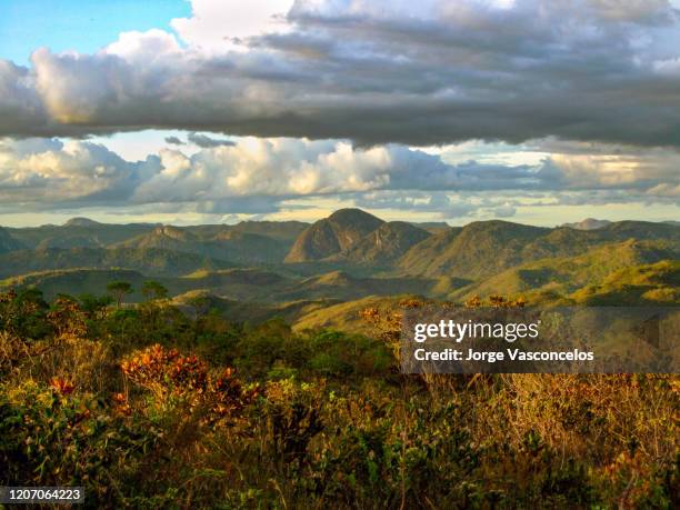 landscape near vau - diamantina - vale do jequitinhonha - minas gerais - brazil -21 - bundesstaat minas gerais stock-fotos und bilder