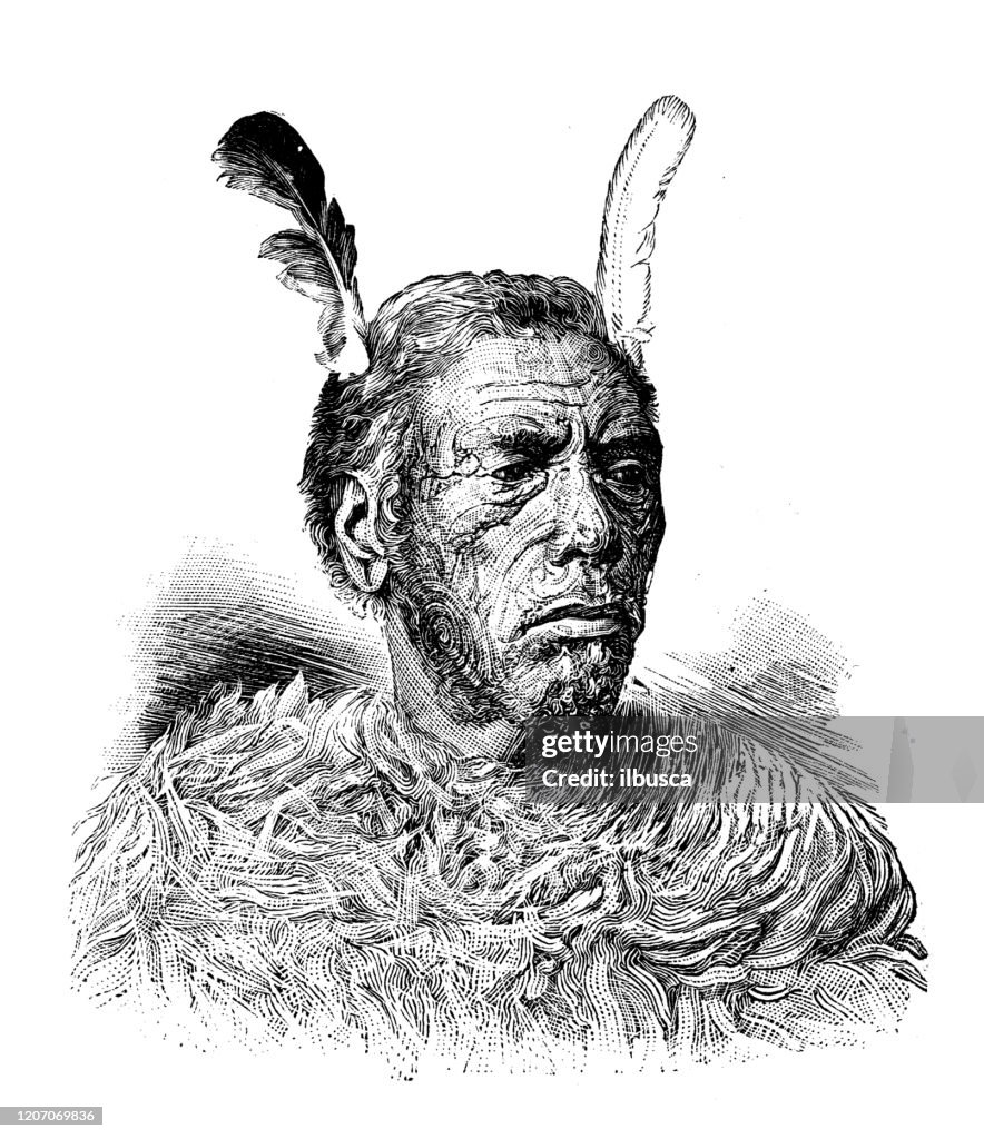 Antique illustration: Maori man