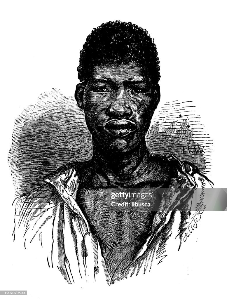 Antique illustration: Hottentot man