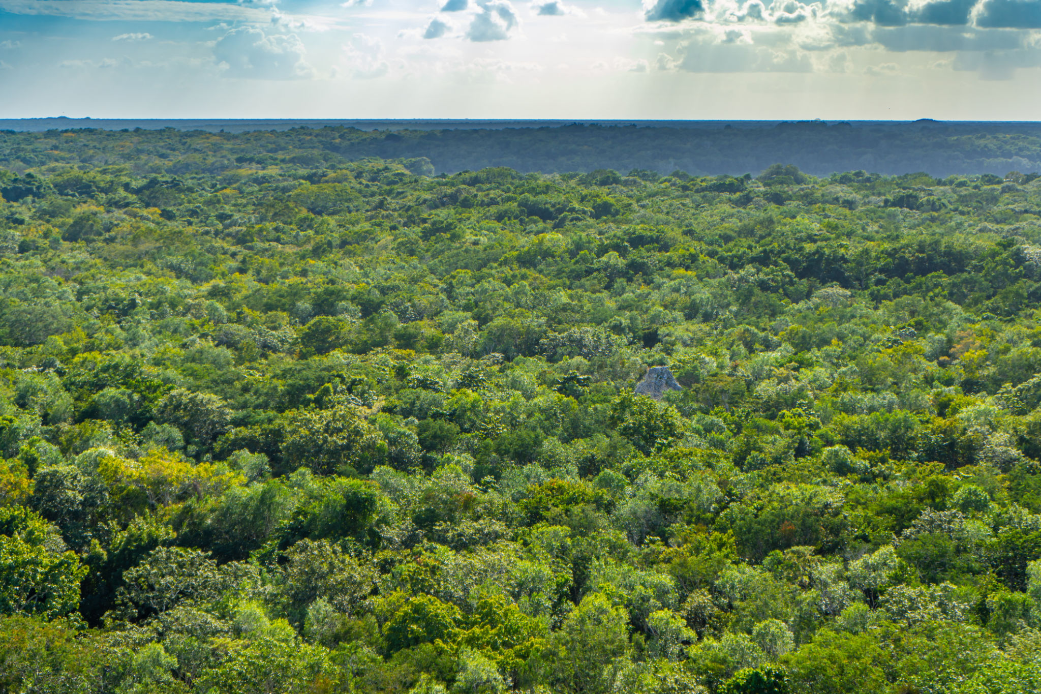View from Nohoch Mul pyramid. Tropical (rain) forest with clouds and sky. Travel, nature photo. Mexico. Quintana roo. View from Nohoch Mul pyramid. Tropical (rain) forest with clouds and sky. Travel, nature photo. Mexico. Quintana roo.
