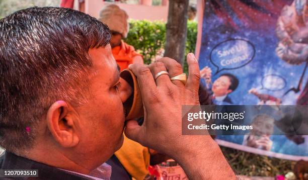 Member and supporter of the Hindu organisation 'Akhil Bharat Hindu Mahasabha' drinks cow urine as a potential cure for the new coronavirus as he...