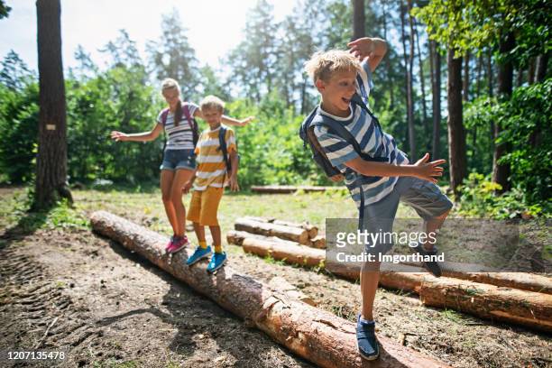kleine wanderer wandern auf einem baumstamm im wald - tree trunk stock-fotos und bilder