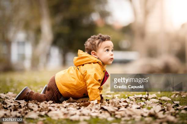 bebé niño arrastrándose en el parque público - gatear fotografías e imágenes de stock