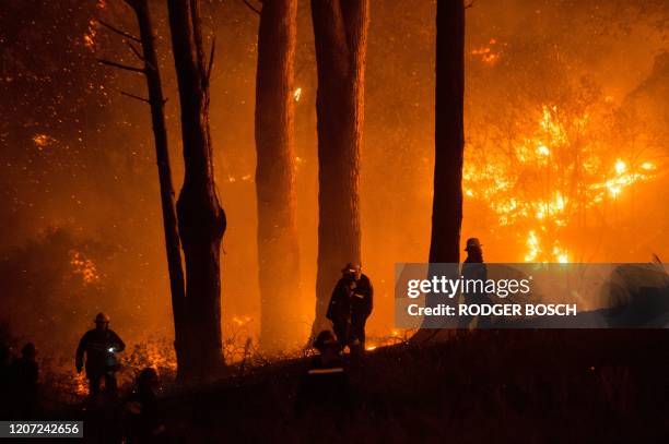 Firefighters are at work to put out a forest fire on Signal Hill, a popular lookout point and hike for tourists, above the city centre on March 15 in...