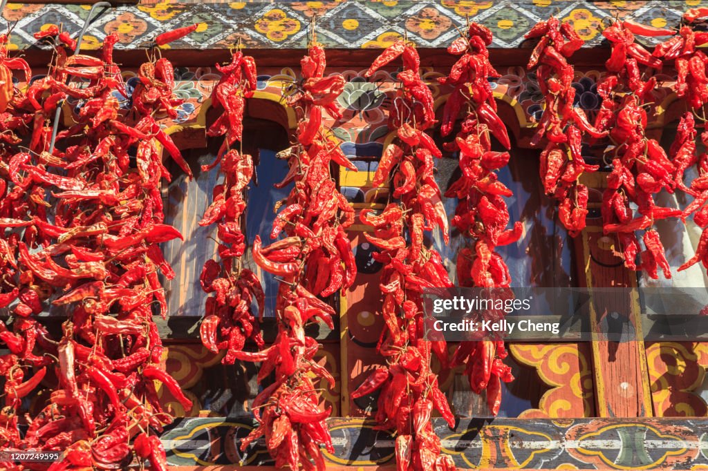 Drying chlli peppers in the sun