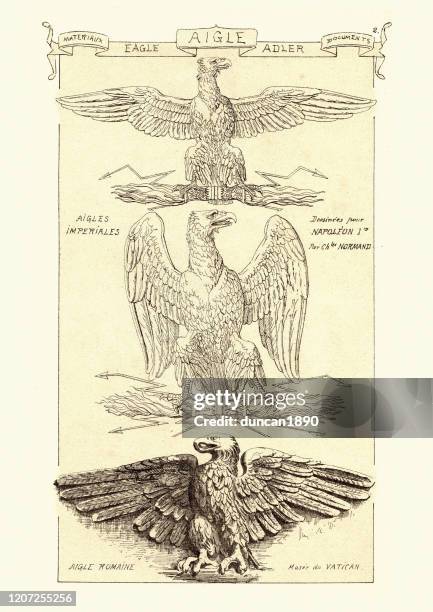 eagles in decorative architecture.  imperial, spread wings, fine art statues - aquila heliaca stock illustrations