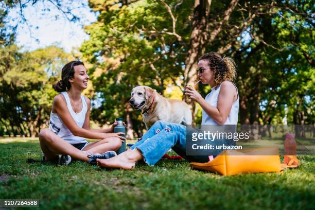 two women and dog relaxing in park - dog park stock pictures, royalty-free photos & images