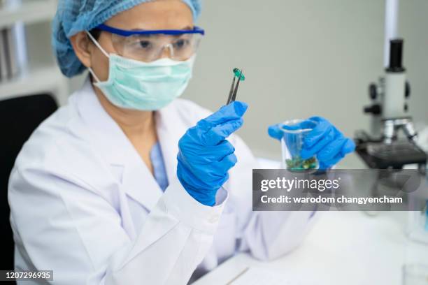 the doctor is inspecting the produced medicine seed. - cartoon cancer fotografías e imágenes de stock