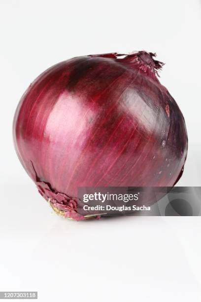 pear red danjou onion (pyrus-pyrifolia) - red onion stock pictures, royalty-free photos & images