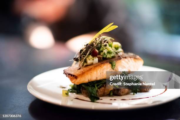 fresh salmon plate - serving dish foto e immagini stock