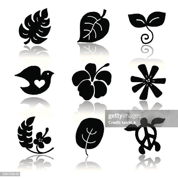 368 Hibiscus Silhouette Photos And Premium High Res Pictures Getty Images 368 Hibiscus Silhouette Photos And Premium High Res Pictures Getty Images