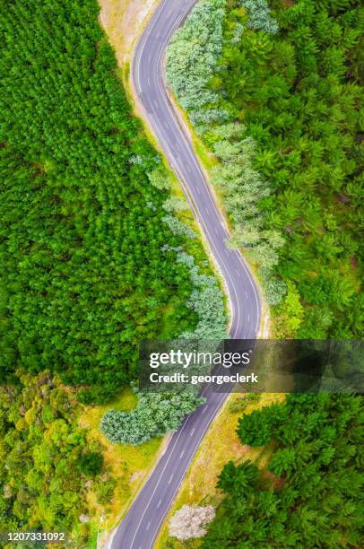 curving country road from the air - new zealand forest stock pictures, royalty-free photos & images