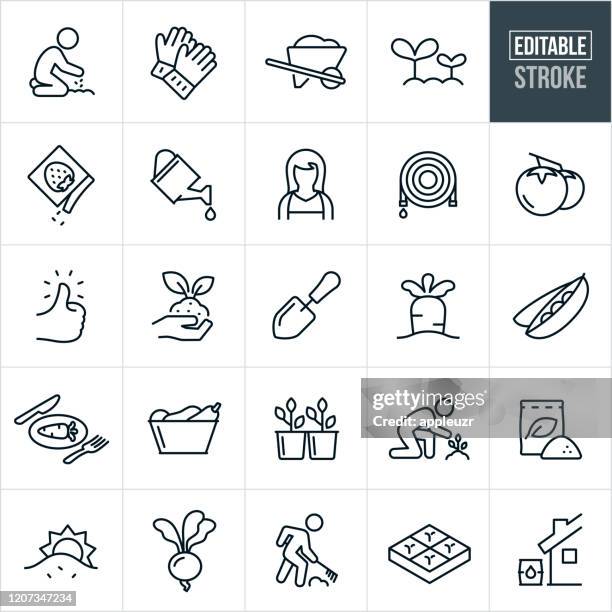 ilustraciones, imágenes clip art, dibujos animados e iconos de stock de iconos de línea fina de jardinería vegetal - trazo editable - artículos de jardín