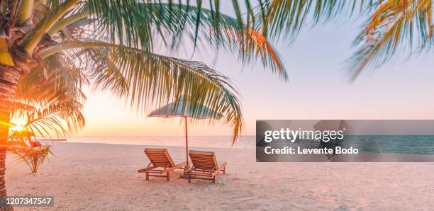 beautiful tropical sunset scenery, two sun beds, loungers, umbrella under palm tree. white sand, sea view with horizon, colorful twilight sky, calmness and relaxation. inspirational beach resort hotel - リゾート地 ストックフォトと画像