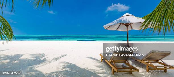 beautiful tropical beach banner. white sand and coco palms travel tourism wide panorama background concept. amazing beach landscape. boost up color process. luxury island resort vacation or holiday - great coco island stock pictures, royalty-free photos & images