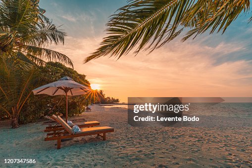 Beautiful tropical sunset scenery, two sun beds, loungers, umbrella under palm tree. White sand, sea view with horizon, colorful twilight sky, calmness and relaxation. Inspirational beach resort hotel Beautiful tropical sunset scenery, two sun beds, loungers, umbrella under palm tree. White sand, sea view with horizon, colorful twilight sky, calmness and relaxation. Inspirational beach resort hotel