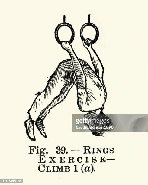 gymnastics, the rings, exercise, victorian sports 19th century - acrobat stock illustrations