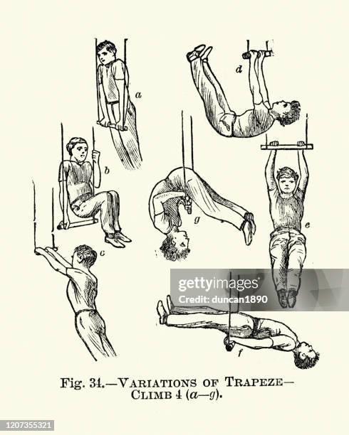 gymnastics, trapeze, variations of climb, victorian sports 19th century - acrobat stock illustrations