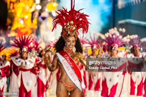 ブラジルのカーニバルの美しさ - carnival parade in sao paulo ストックフォトと画像