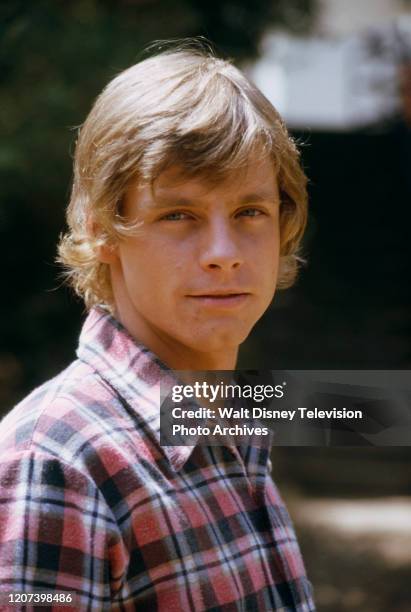 Mark Hamill appearing on the ABC tv series 'The Texas Wheelers'.