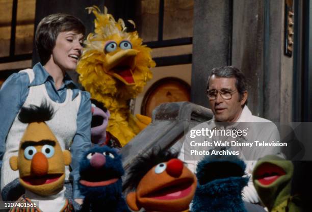 Julie Andrews, Big Bird, Perry Como, Bert, Grover, Ernie, Cookie Monster, Kermit the Frog, the Muppets appearing on the ABC tv special 'Julie on...