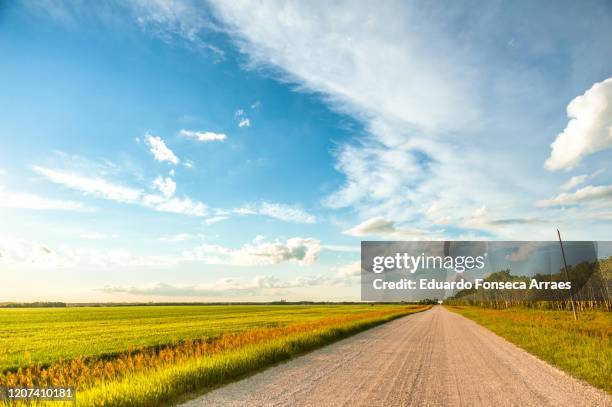 diminishing perspective of a country dirt road lined by farm and rural lands, against a sunny clear blue sky with clouds - manitoba stock-fotos und bilder