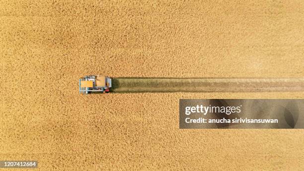 aerial top view harvester machine working in rice fields, asia, thailand. - grain texture stock pictures, royalty-free photos & images