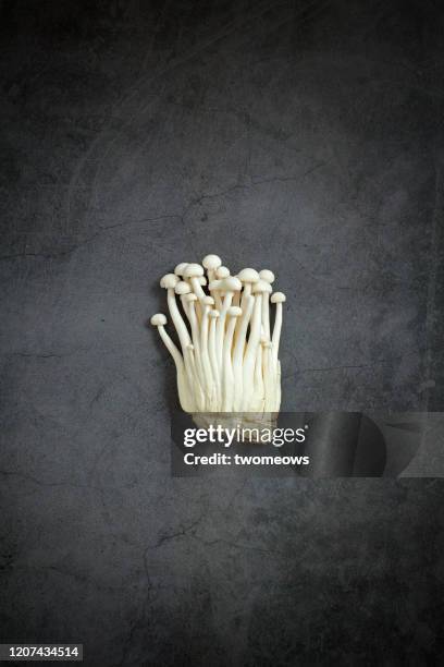 enoki mushroom still life image. - enoki mushroom stock pictures, royalty-free photos & images