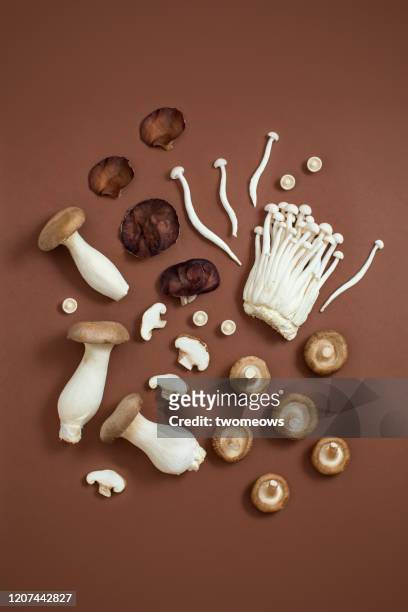 edible mushroom still life image. - enoki mushroom stock pictures, royalty-free photos & images