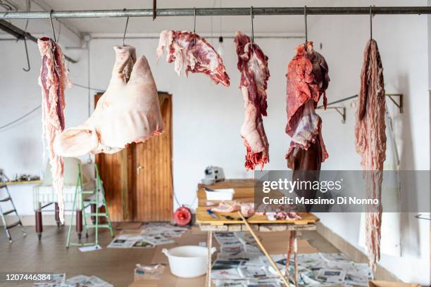 pork hanging to dry after slaughter - pig slaughtering stock pictures, royalty-free photos & images