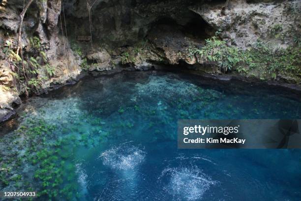 zapote cenote in puerto morelos, mexico - divers swimming below - grundwasser stock-fotos und bilder