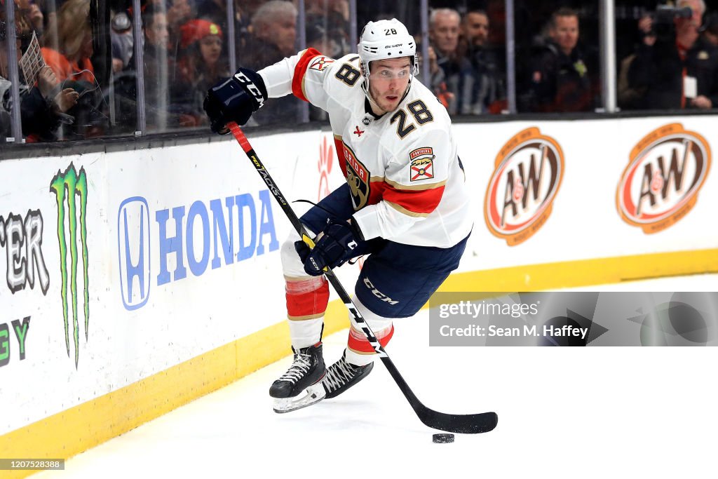 Florida Panthers v Anaheim Ducks