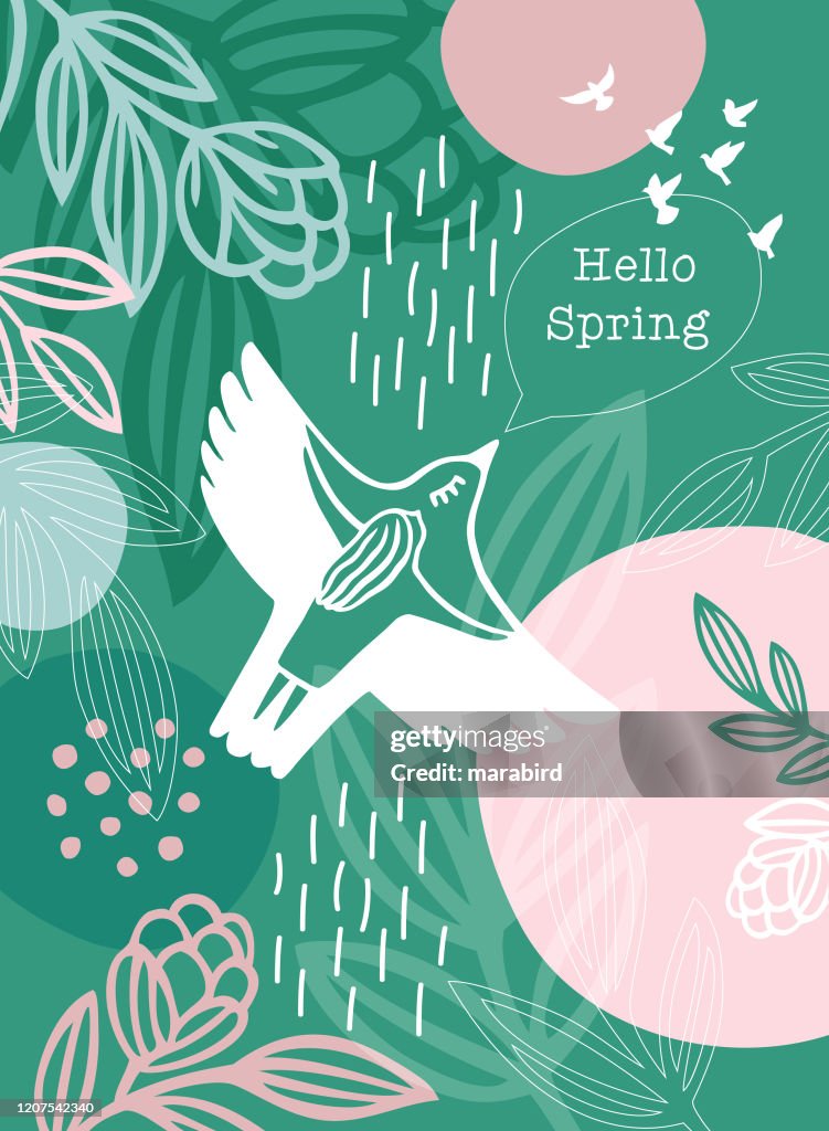 Hola Primavera Mensaje Pájaro Blanco Mujer