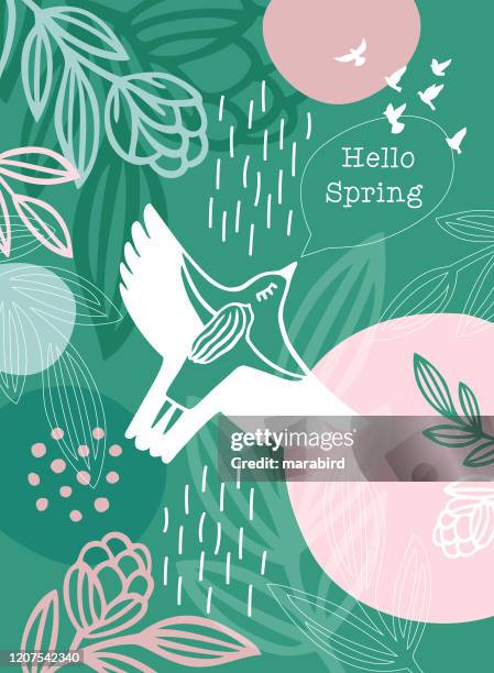 hello spring message white bird woman - plant font stock illustrations